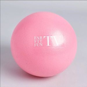 Fab fit fun tv exercise ball